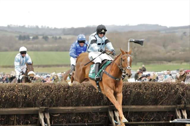 No Questions Asked and Gina Andrews win at last year's meeting