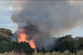Flames and smoke coming from the area around the allotments could be seen across the town.