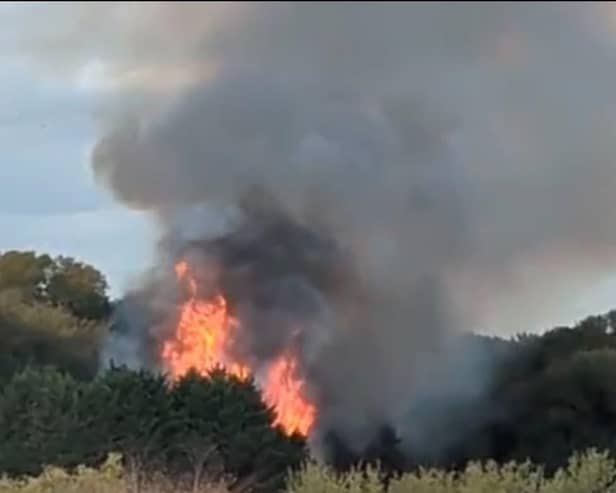 Flames and smoke coming from the area around the allotments could be seen across the town.