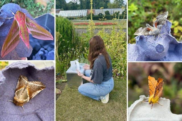 Drawn to the light: University of Northampton student rediscovers local ...