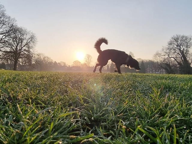 Drax said: "There is nothing I won't sniff." Not even someone else's bottom? Oh wait... in other news, what a stunning photograph!