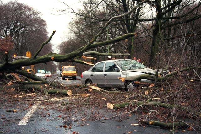 A car is trapped under a tree on Bolton Road, Chorley, after being felled in high winds, 1999