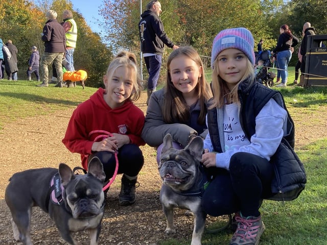 Around 50 French Bulldogs dressed up in Halloween outfits for a walk around Hunsbury Country Park over the weekend.