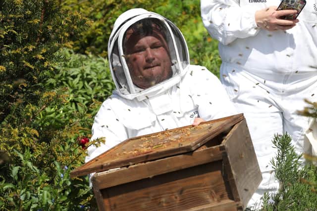 Visitors can see bee keeping first hand at Falls Farm in Harrington, home of Warner's Distillery/National World