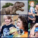Families had tons of fun getting up close and personal with the dinosaurs at Delapre Abbey