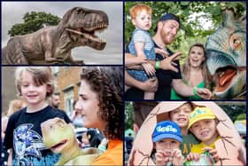 Families had tons of fun getting up close and personal with the dinosaurs at Delapre Abbey