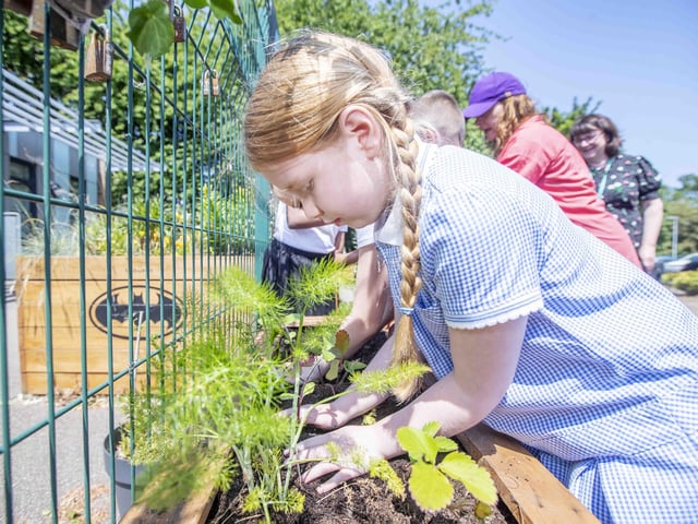 Briar Hill Primary School unveiled its new garden on Friday (June 9) to promote the importance of green space for children.