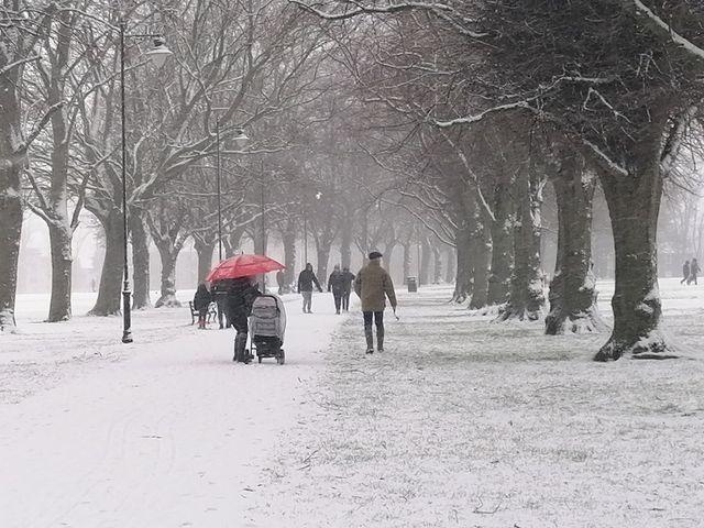 A picturesque Abington Park.