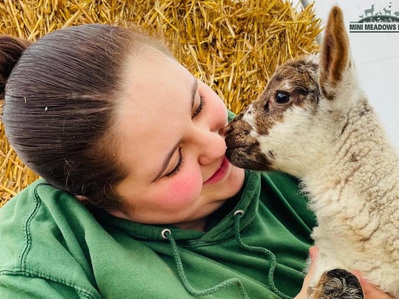 Across the Easter holidays, visitors at Mini Meadows Farm will be able to pay extra to bottle feed lambs - a spring activity staple. However, there are also a number of other Easter themed activities taking place too. There will be an Easter trail over the bank holiday weekend, as well as a bunny mascot, chuck and duck handling, goat cuddling, Easter crafting and more. Visit the Mini Meadows website to find out more and for tickets.