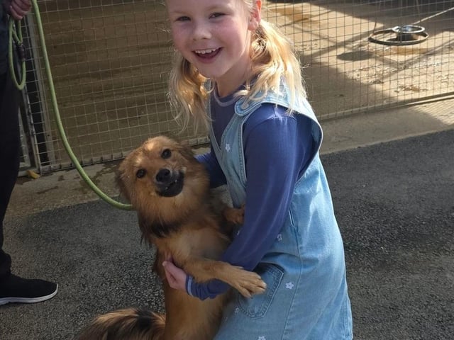 At Animals in need