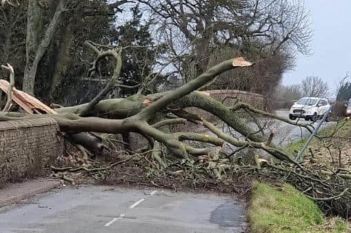 On February 18, the Met Office told residents to stay indoors as Storm Eunice brought gusts of 100mph across Northamptonshire. Emergency services were called to deal with a variety of storm related incidents including damaged buildings, fallen trees, roof panels blowing off of a cinema building and an overturned lorry. This fallen tree blocking a road near Desborough was just one of the many problems being caused by the storm.