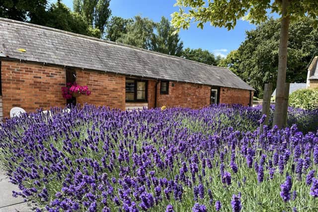 White House Farm Holiday Cottages.