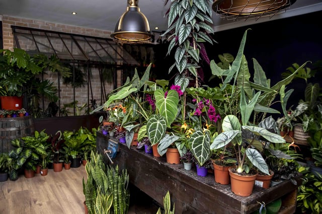 Not Another Jungle is a new plant shop opened by Tony Le Britton in George Row