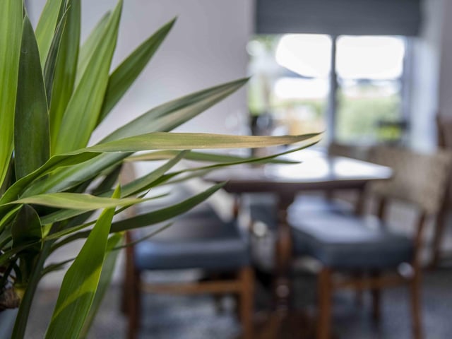 The revamp brings with it a new brunch and dinner menu and 20 jobs.