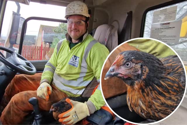 Luke Stinson with the stowaway chicken in the cab of the truck/National World