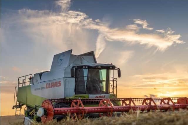 Harvesting file picture/National World
