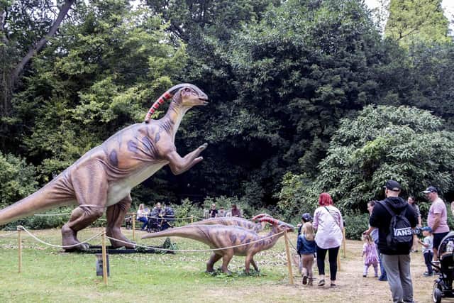 Families had tons of fun with the dinosaurs at Delapre Abbey when the event last came to town in 2022.
