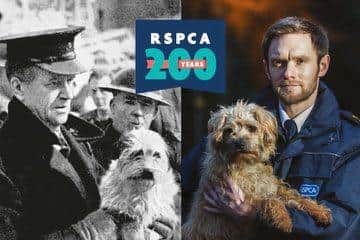 RSPCA