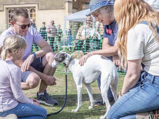 Pooches and owners alike enjoying the popular dog festival on Saturday September 14, 2024.