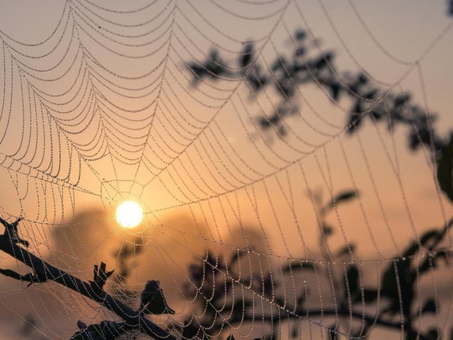 This year the park will host Willow Lantern Workshops and a Spooky Half-term Trail around Solstice Lake. The lantern workshops last around two hours and cost £8 per lantern. Book here: https://www.stanwicklakes.org.uk/whats-on/willow-lantern-making-for-october-half-term. The trail is suitable for all ages and £3 each. Visitors will get 'spooky' instructions for a 45 minute to an hour walk. No need to book, just pick up the leaflet at reception.