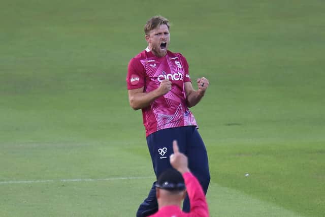 Steelbacks skipper David Willey celebrates claiming a wicket in the win over Glamorgan (Picture: Peter Short)