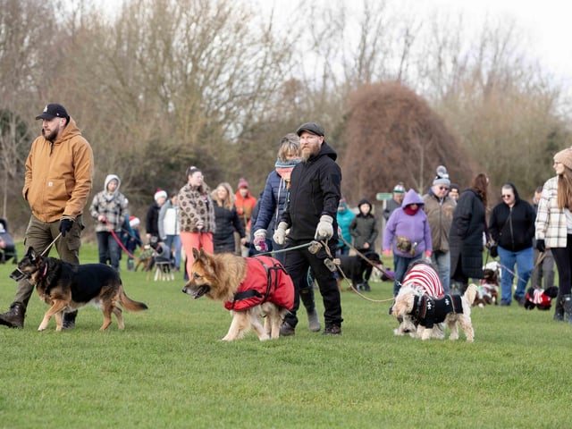 The popular event saw more than 100 dogs walked around Bradlaugh Fields in Northampton on Sunday (December 22).