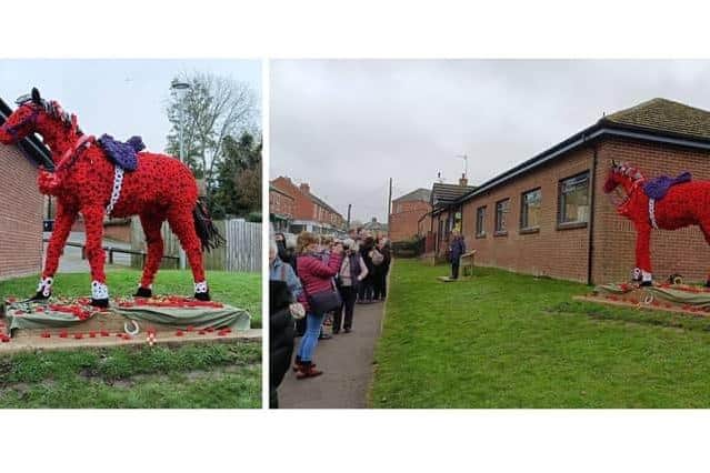 The community unveiling took place last Thursday (November 7). Photo: Jack Ingham.