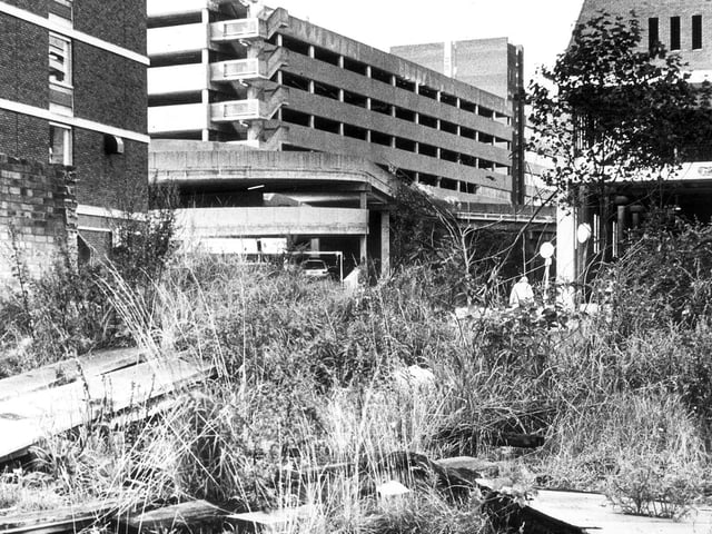 Old Greyfriars site... Rat Island circa 1978