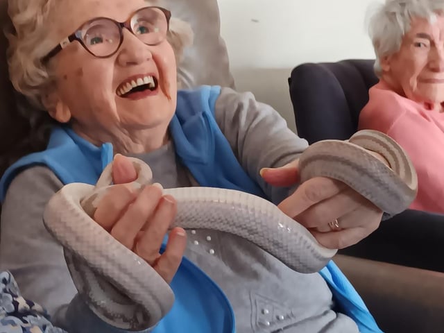 Resident delight with the visit from the small zoo