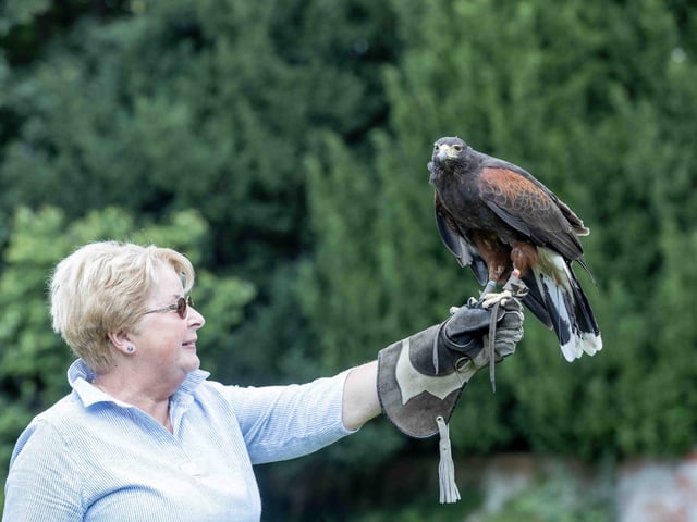Delapre Abbey hosted a re-enactment event on Sunday July 14, 2024, including a medieval hawking show, re-enactors and a guided tour of the registered battlefield.