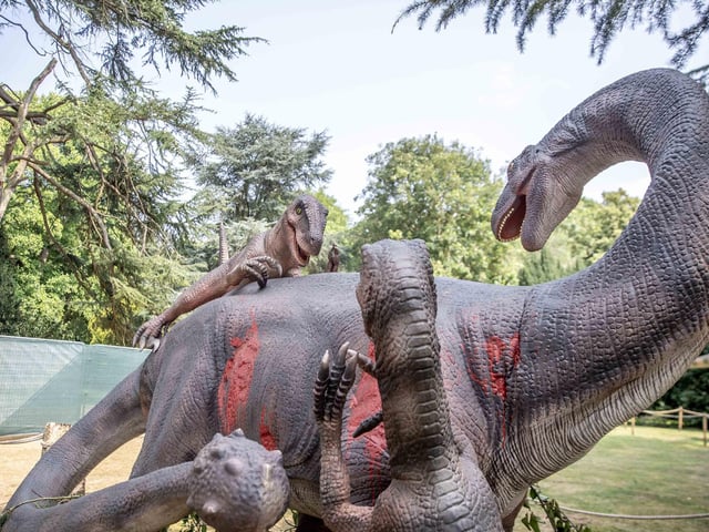 What to expect from the Dinosaurs in the Park event, which is at Delapre Abbey until Sunday September 1, 2024.
