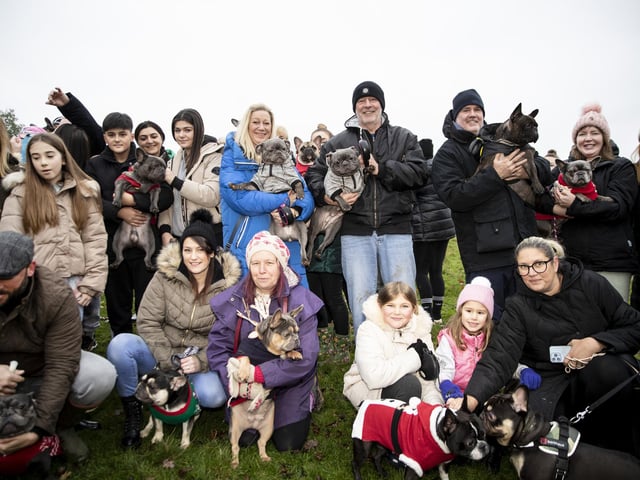 The French Bulldog Meet & Walk group’s Christmas walk at Hunsbury Hill Country Park on Sunday December 4, 2022.