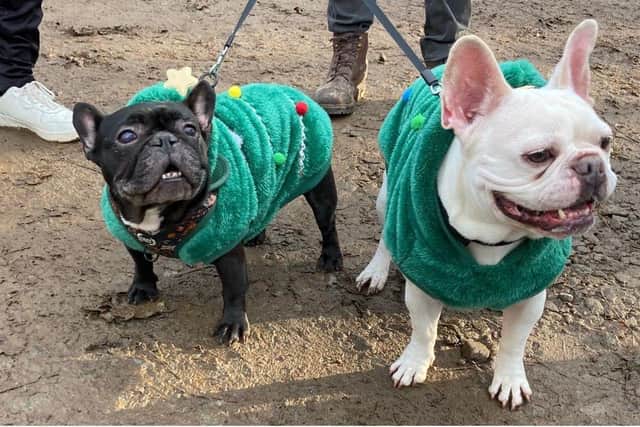 Feeling festive