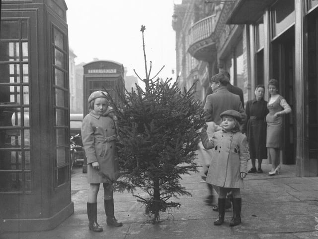 Two little girls with a Christmas tree outside the Chron, Market Square