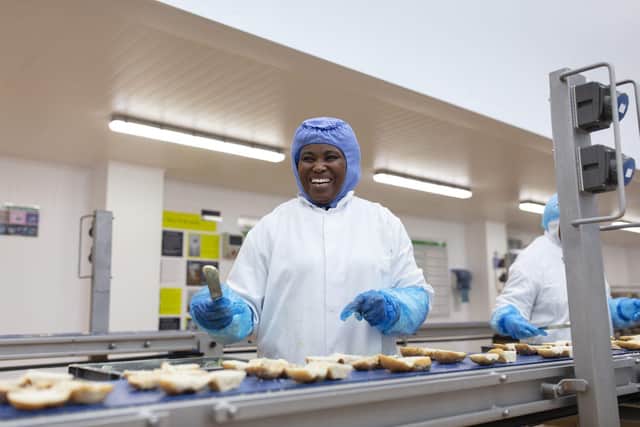 Greencore colleague on manufacturing line