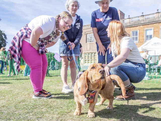 Pooches and owners alike enjoying the popular dog festival on Saturday September 14, 2024.