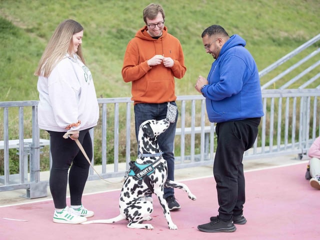 The flyball team hosted a fun dog show at Sixfields Stadium on Sunday September 29 to celebrate its milestone anniversary.