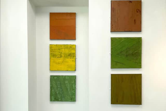 Field and furrow painting