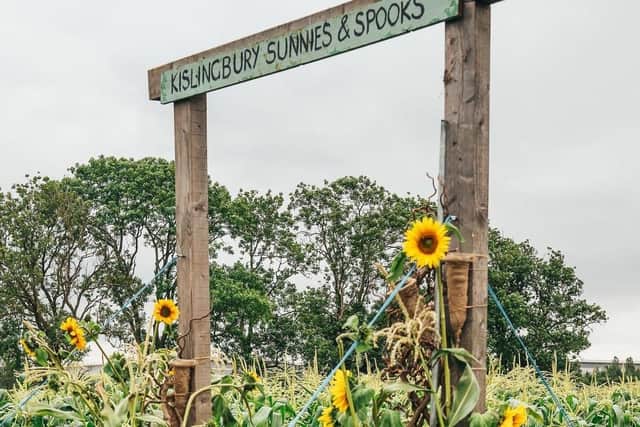 Sunnies & Spooks at Fromant and Sanders Farm in Kislingbury have submitted plans to create a farm shop and café at the popular site.