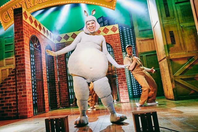 Madagascar The Musical - photo by Mark Dawson Photography