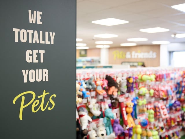 Pets & Friends