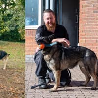 Two heroic Northamptonshire Police dogs retire after years of catching criminals and protecting communities