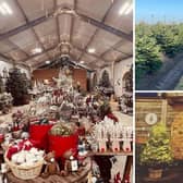Welford Christmas Tree Farm, in Northampton Road, has been run by Will Miles for three decades and last year the site underwent a major transformation.