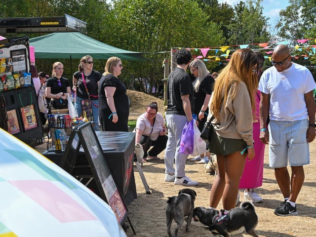 Pugs and their owners travelled across the country to be part of the occasion, which takes inspiration from Coachella festival and returned to Northampton on Sunday (August 23) with a pool party theme.