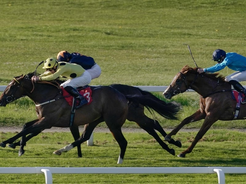 Royal Ascot always features a host of exciting two-year-olds blessed with oodles of untapped potential. We could name any number, from River Tiber and Asadna to Beautiful Diamond, Jabaara and Unquestionable, but few have created a bigger impression so far than Karl Burke's colt, who has blitzed the opposition in a maiden at Doncaster and a Listed contest st Sandown (pictured in yellow) in the style of a special colt. Don't blink or you might miss him in the 5f Norfolk Stakes, the opening race on Thursday.