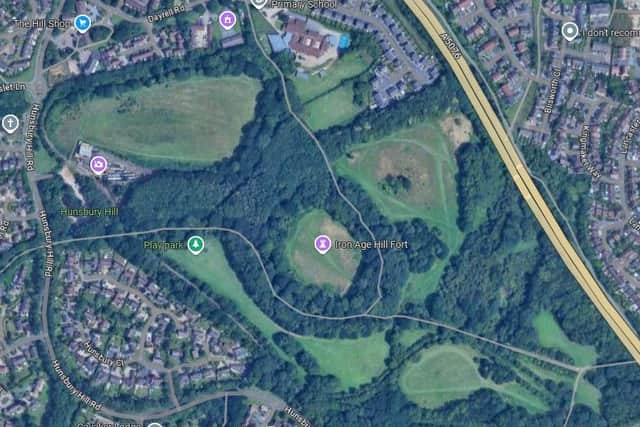 The incident happened near to the play area at Hunsbury Hill Country Park.