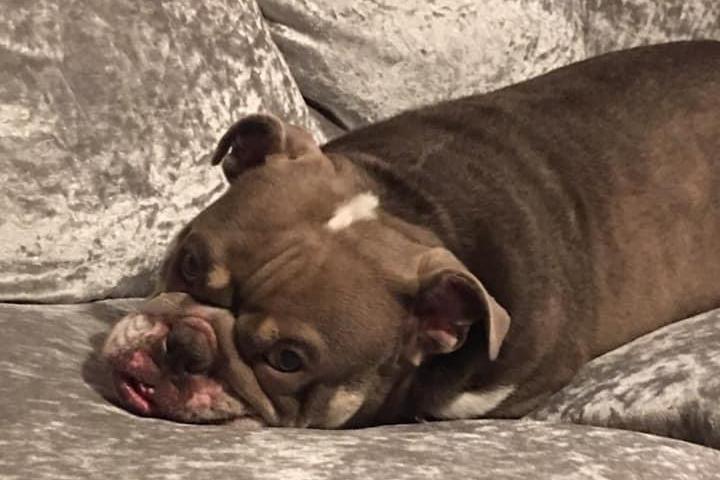 Narla pictured.