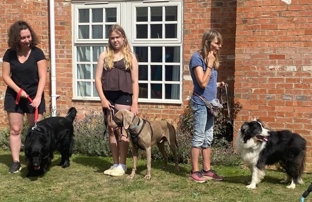 The categories were hard to judge as all the dogs were so adorable and well behaved