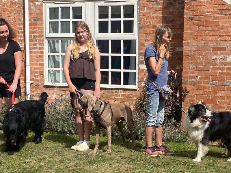The categories were hard to judge as all the dogs were so adorable and well behaved