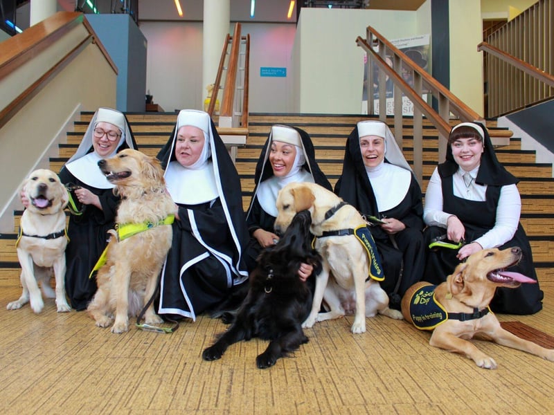 Nuns from Sister Act The Musical with guide dog puppies